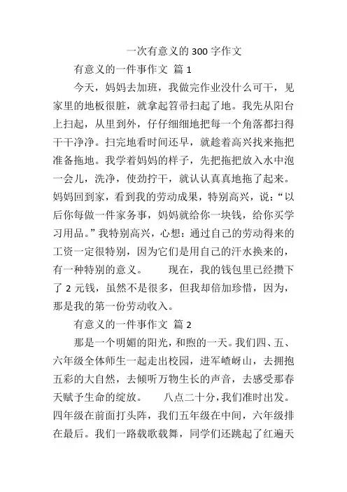 一次有意义的300字作文
