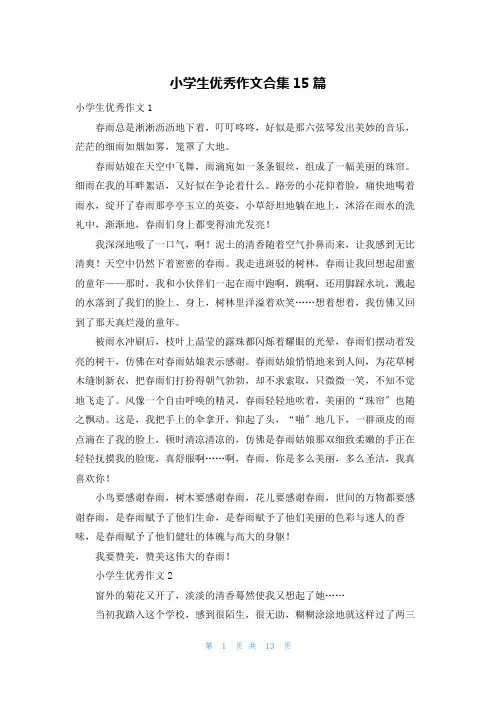 小学生优秀作文合集15篇