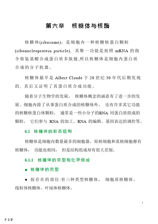 06核糖体与核酶 王金发细胞生物学讲义