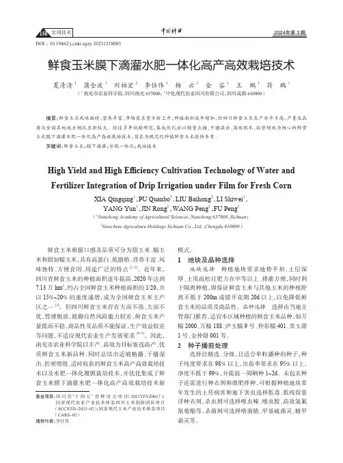 鲜食玉米膜下滴灌水肥一体化高产高效栽培技术