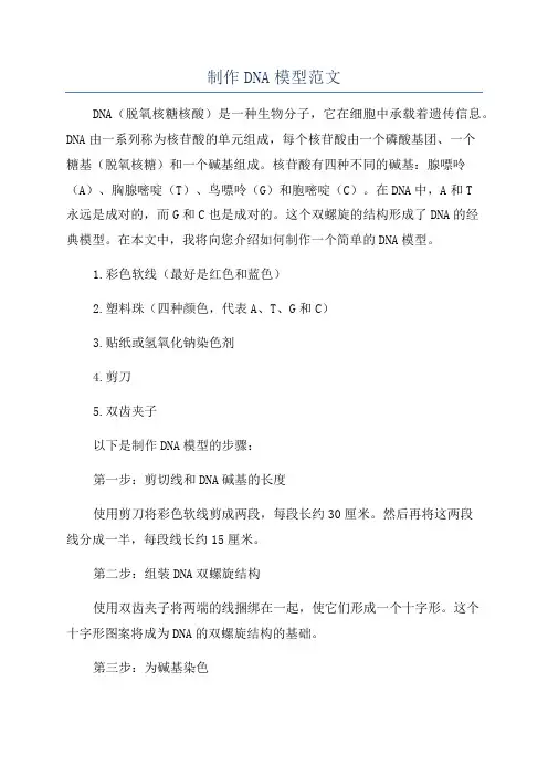 制作DNA模型范文