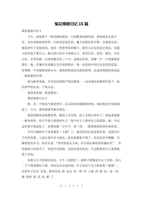 菊花观察日记15篇