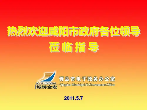 青岛市电子政务情况汇报(ppt 59页)