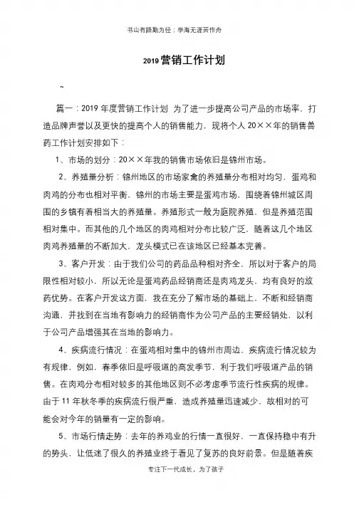2019营销工作计划