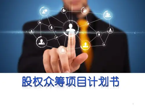 股权众筹项目计划书