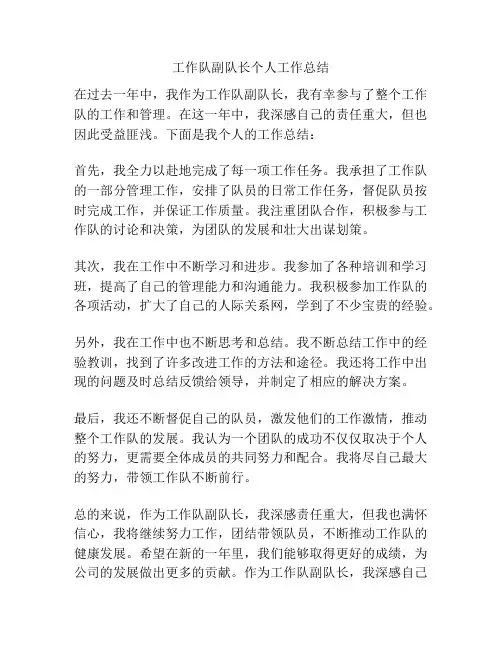 工作队副队长个人工作总结