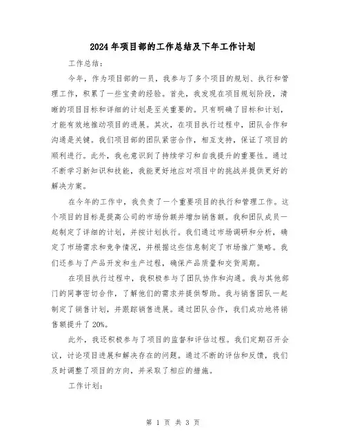 2024年项目部的工作总结及下年工作计划(二篇)