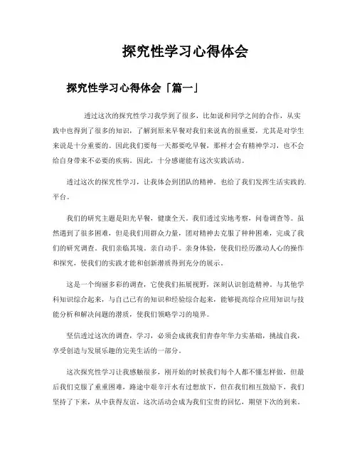 探究性学习心得体会