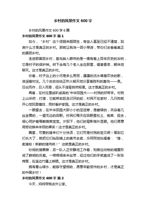 乡村的风景作文600字