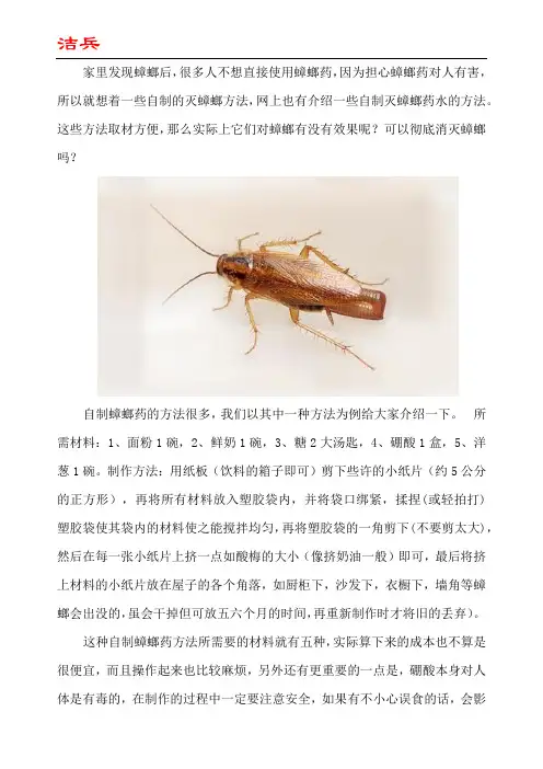 如何自制灭蟑螂药水