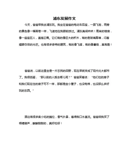 浦东发展作文