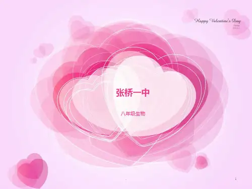 第二节从种到界PPT课件