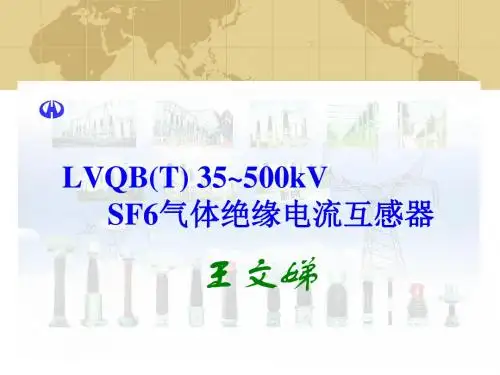 SF6CT产品资料(wang)精品资料
