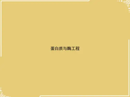 蛋白质与酶工程【共43张PPT】