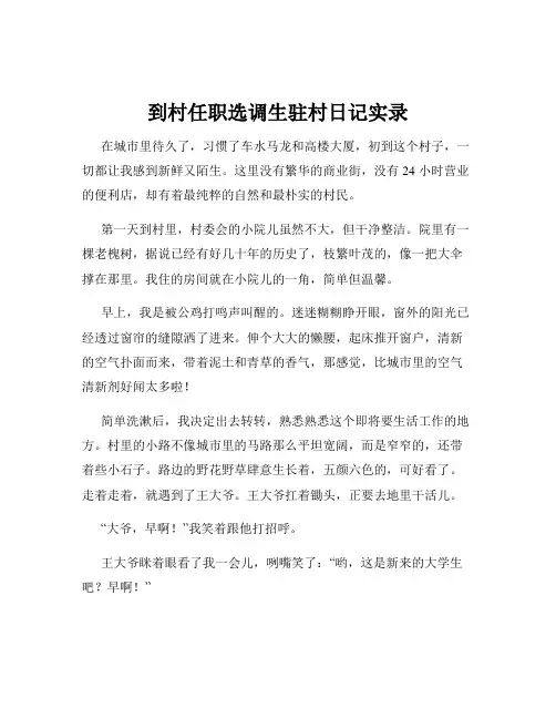到村任职选调生驻村日记实录