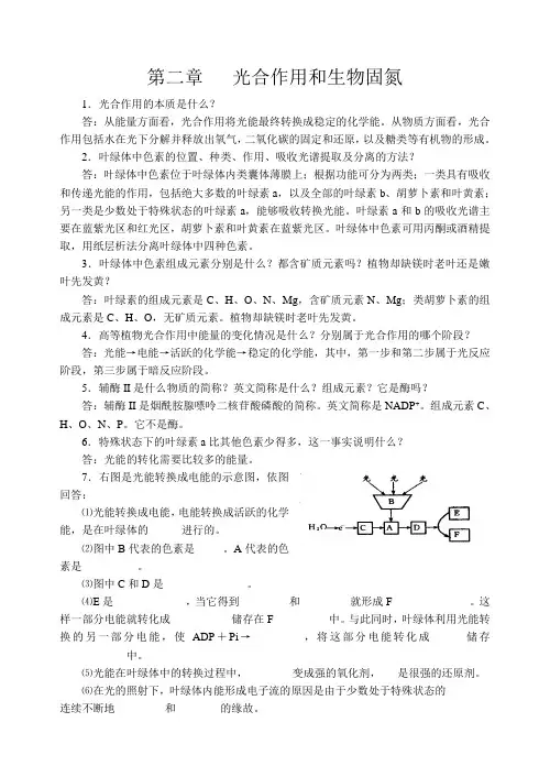 第二章光合用和生物固氮