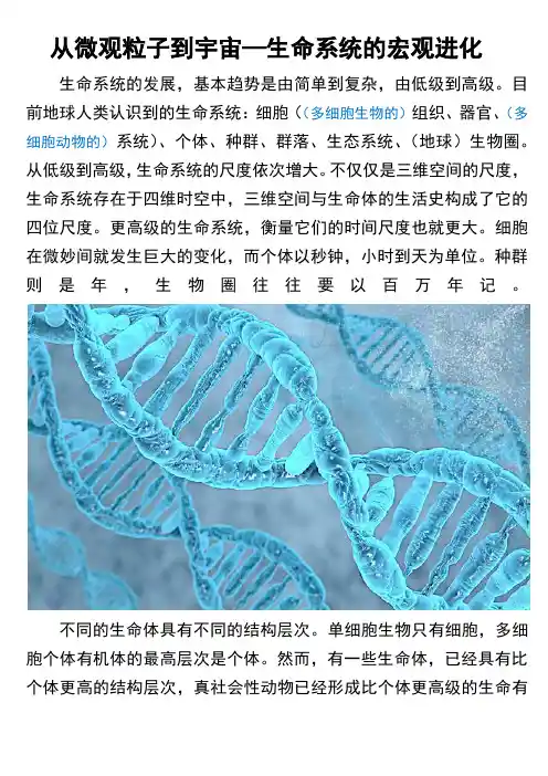 从微观粒子到宇宙--生命系统的宏观进化