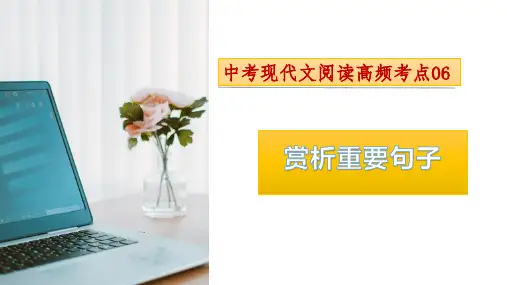 考点06赏析重要句子2024年中考语文现代文阅读高频考点精讲课件