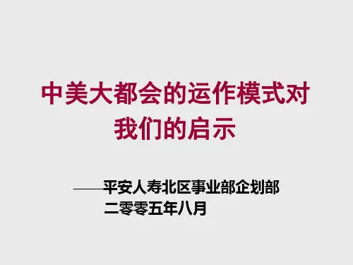 中美大都会的运作模式对我们的启示