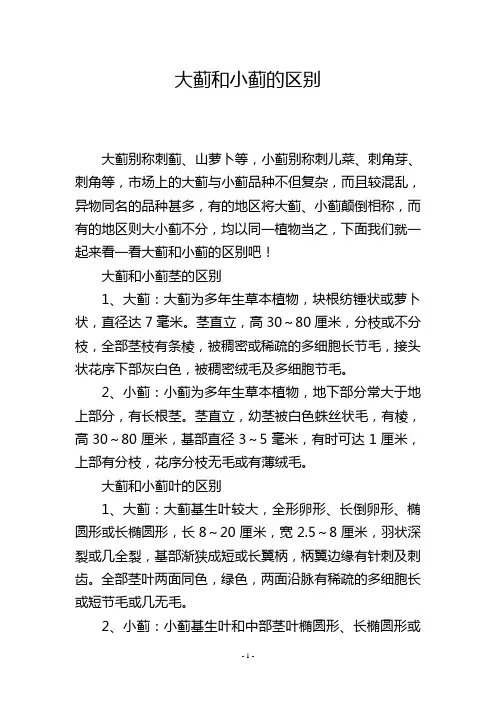 大蓟和小蓟的区别