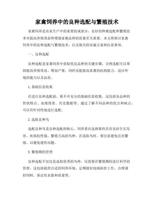 家禽饲养中的良种选配与繁殖技术