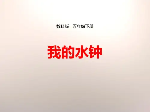 教科版五年级科学下册《我的水钟》PPT课件