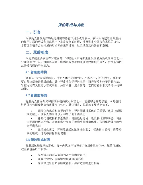 尿的形成与排出说课稿