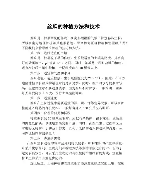 丝瓜的种植方法和技术