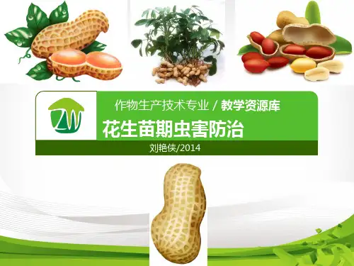 花生苗期虫害防治.pptx