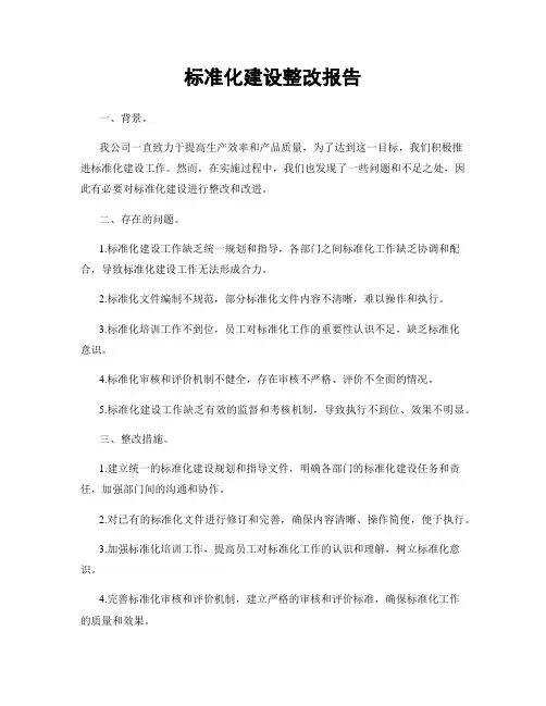 标准化建设整改报告
