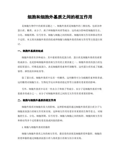 细胞和细胞外基质之间的相互作用