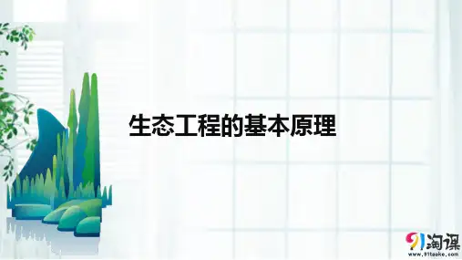 课件9：5.1 生态工程的基本原理