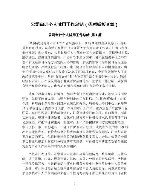 公司审计个人试用工作总结(优秀模板5篇)