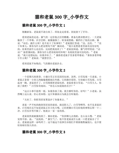 猫和老鼠300字小学作文