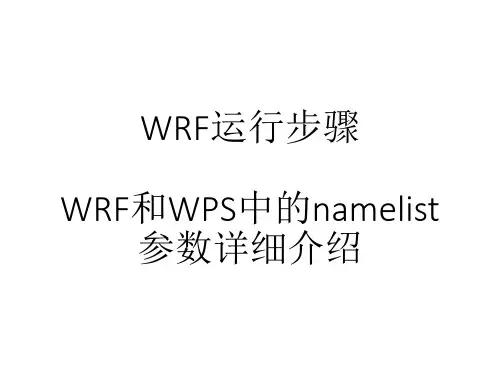 WRF运行及参数详细介绍