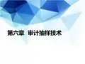 第6章 审计抽样技术[85页]
