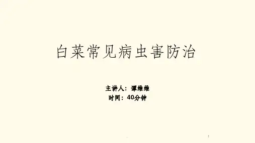 白菜常见病虫害防治PPT课件