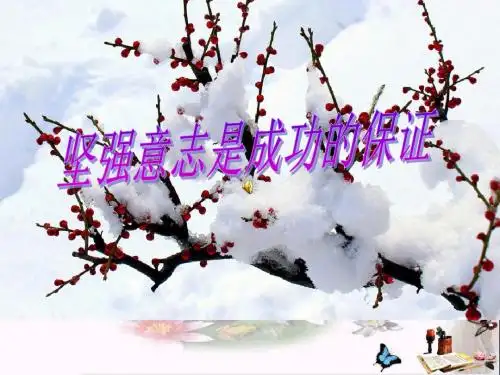 【初中政治】坚强意志是成功的保证ppt优秀课件1
