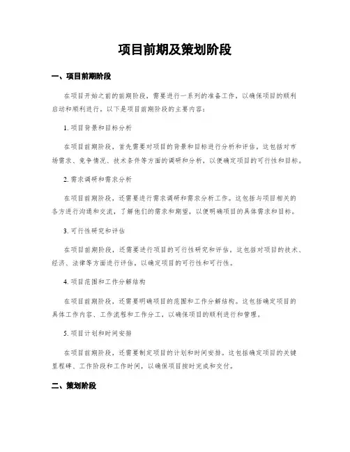 项目前期及策划阶段