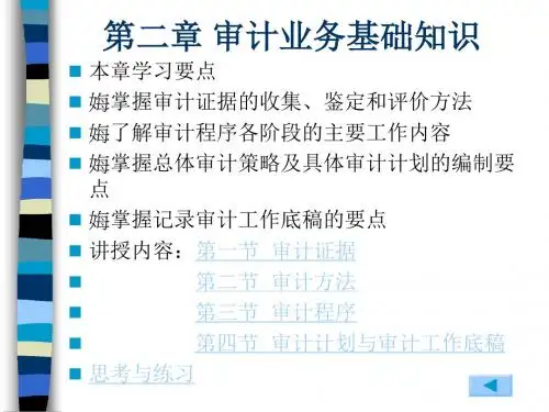审计实务第2章审计业务基础知识资料
