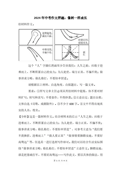 2024年中考作文押题：像树一样成长