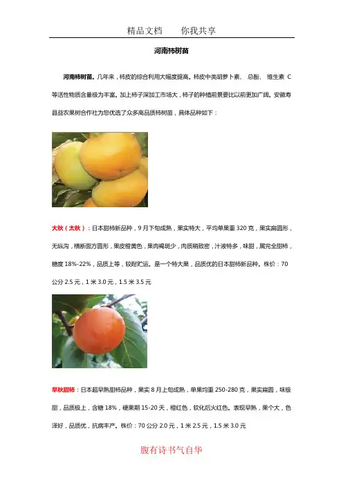 河南柿树苗