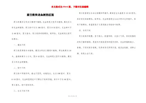 荷兰铁和龙血树的区别