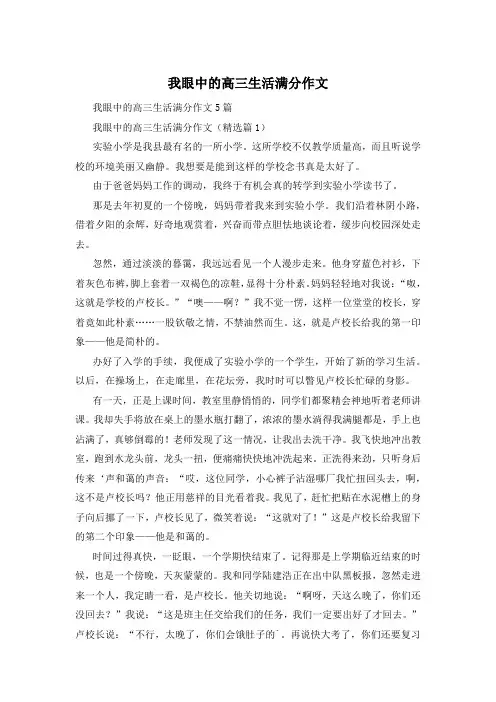 我眼中的高三生活满分作文