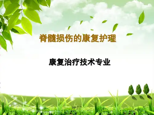 脊髓损伤的康复护理  ppt课件