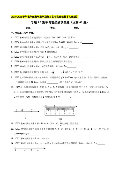 期中考前必刷填空题(压轴60道)七年级数学上学期复习备考高分秘籍【人教版】(原卷版)