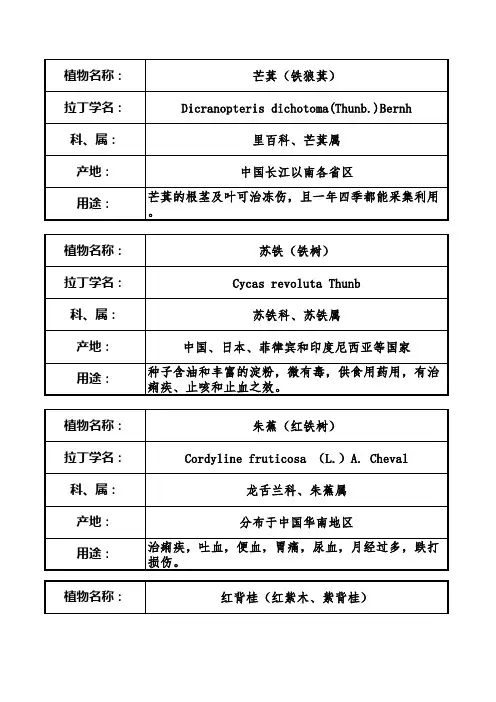 学校植物名牌