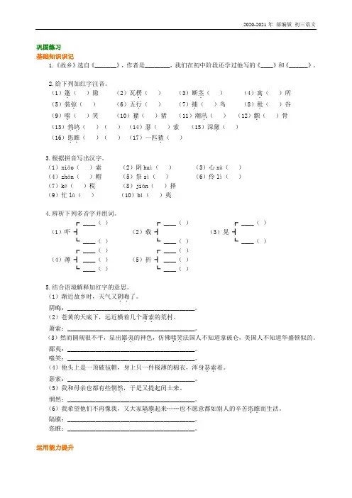 人教部编版语文九年级《故乡》巩固练习