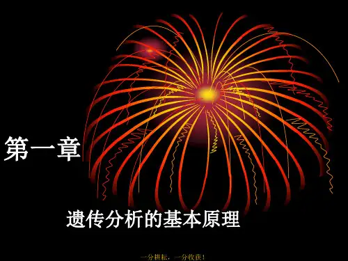 基因的相互作用