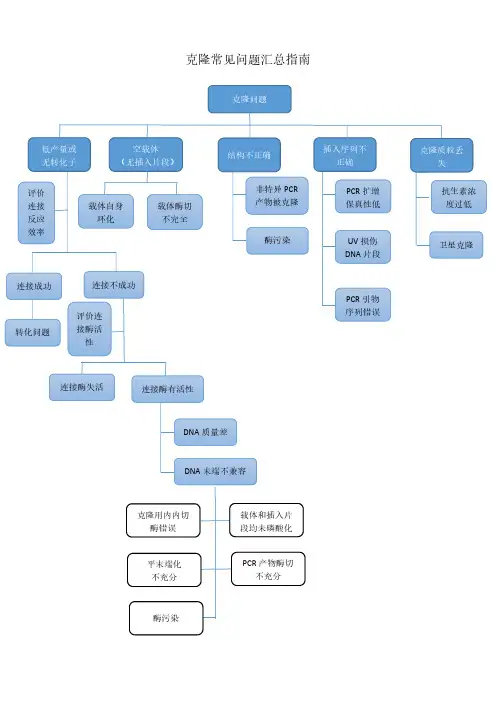 克隆常见问题指南